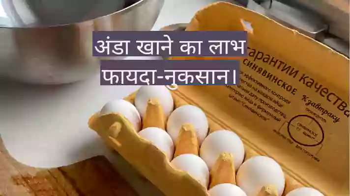 अंडे खाने के फायदे और नुकसान: अंडे कब और कैसे खाने चाहिए?